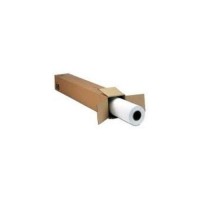 EPSON GF Papel Crystal Clear Film, 17&quot  x 30.5m, 120g