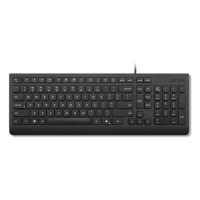 Lenovo TAS - Wired - Lenovo Essential Wired       (GER)