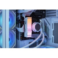 16GB DDR5-6000MT/S CL36 DIMM MEM