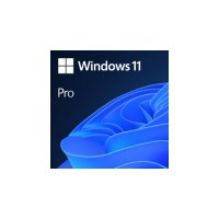 Microsoft Windows 11 Pro 64 Bit - 1 PC - ESD-Download