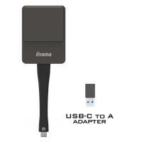 iiyama WP D002C - Adaptador de streaming de média de rede - prata / preto