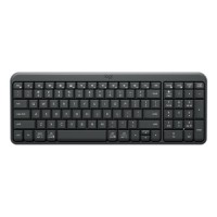Logitech Wired Keyboard K250 Graphite (NLB)