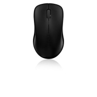 Rapoo Kabellose optische Maus "1620", Schwarz
