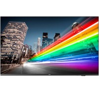 PHILIPS B-Line 55BFL2214    139,7cm(55") 16/7/UHD/TV-Modul (Speditionsversand)