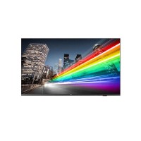 PHILIPS B-Line 65BFL2214 18/7/UHD/350cd DVB-C/T2 (Speditionsversand)