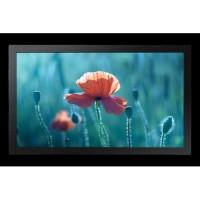 Samsung QB13C 33 cm (13") LCD Wifi 500 cd / m² Full HD Negro 16/7 - 1401966
